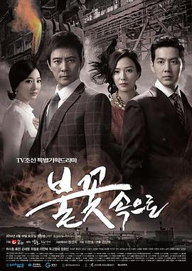 优化网站有什么软件推荐