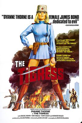 阿坝优化网站哪家好